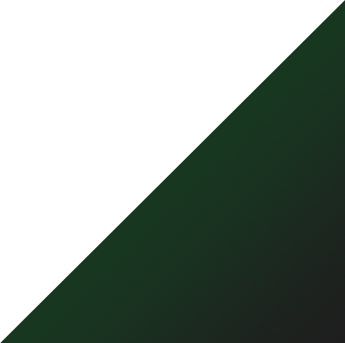 Section Dark Background